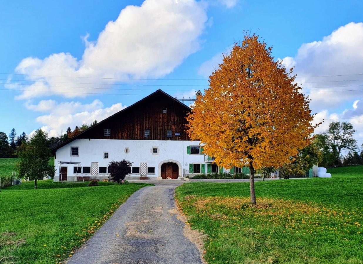 O Valanvron - Appartement Dans Une Ancienne Ferme Neuchateloise Ла-Шо-де-Фон Экстерьер фото